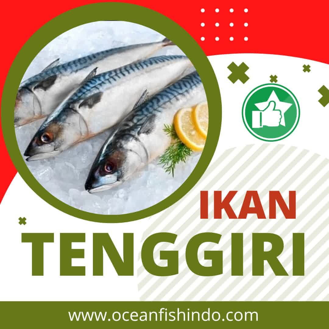 Jual Ikan Tenggiri di Jakarta