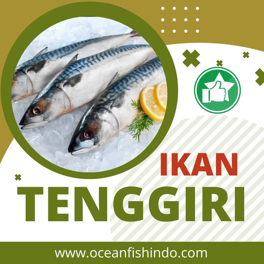 Jual Ikan Tenggiri di Jakarta