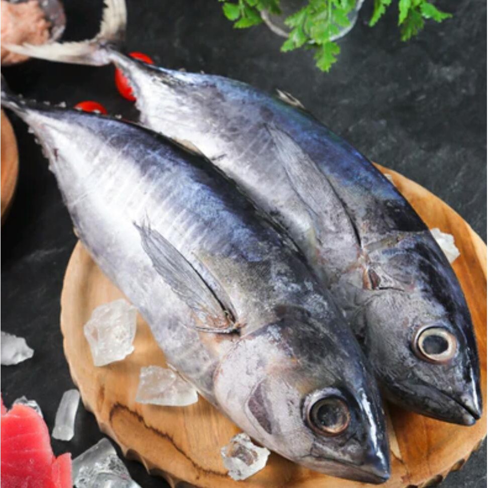 Toko Distributor Jual Ikan Tuna Kualitas Terbaik Harga Murah di Jakarta, Hubungi WA 082115441379