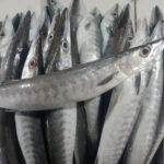 d1b15538-83f2-4f1b-a03d-36a5b951ac12