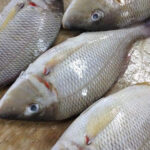 e2e0c662-95be-498c-9092-00c62e176226