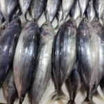 fishmarkets.id-jual-ikan-Tuna-murah-harga-ikan-tuna-terdekat-jual-ikan-tuna-di-Jakarta